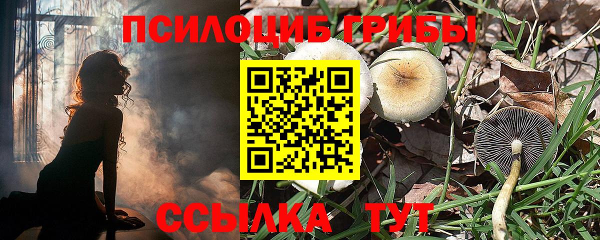 Галлюциногенные грибы Magic Shrooms  Псилоцибиновые грибы MAGIC MUSHROOMS  Вход с VPN  Волгодонск 